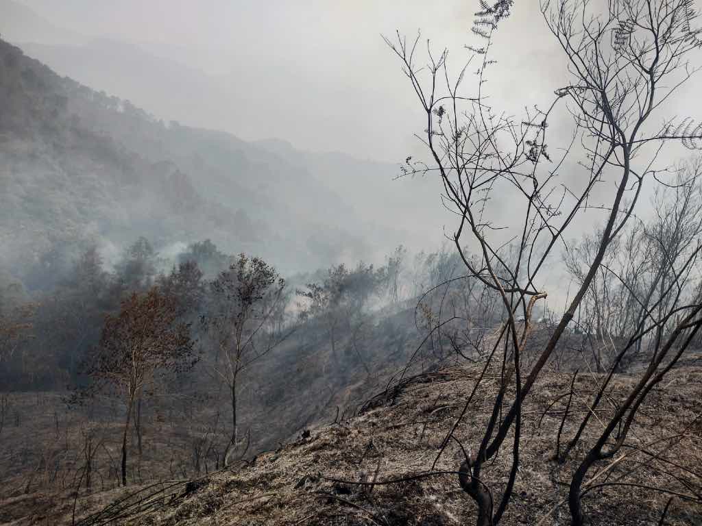 Hay 12 incendios activos en Puebla, reporta SEGOB