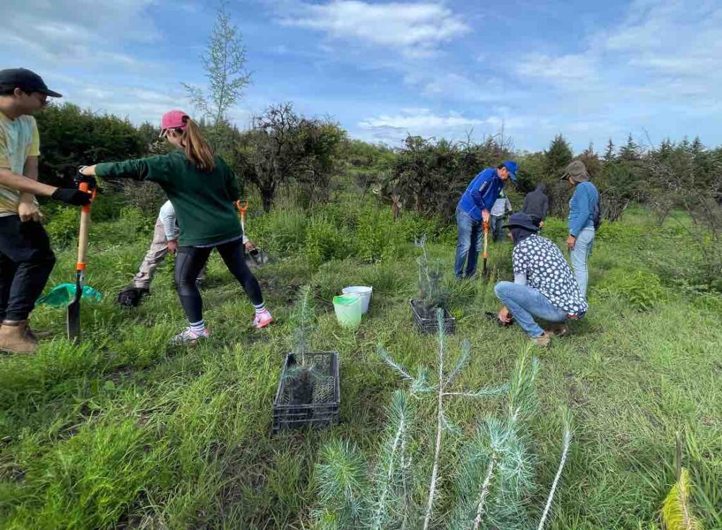 Participan colaboradores de Beetmann en Jornada de Reforestación en Valsequillo