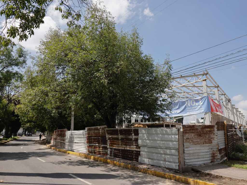 MG tiene prohibido talar árboles para su nueva agencia automotriz en el Bulevar Hermanos Serdán