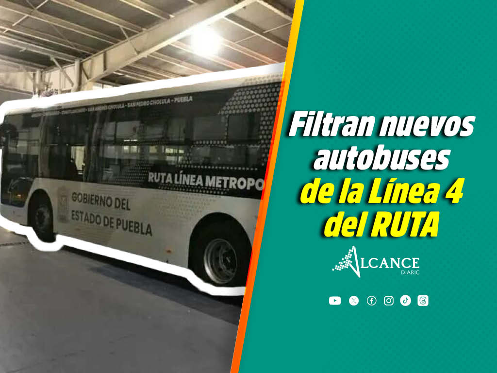 Híbridos y de marca china, así serán los nuevos autobuses de la Línea 4 del RUTA