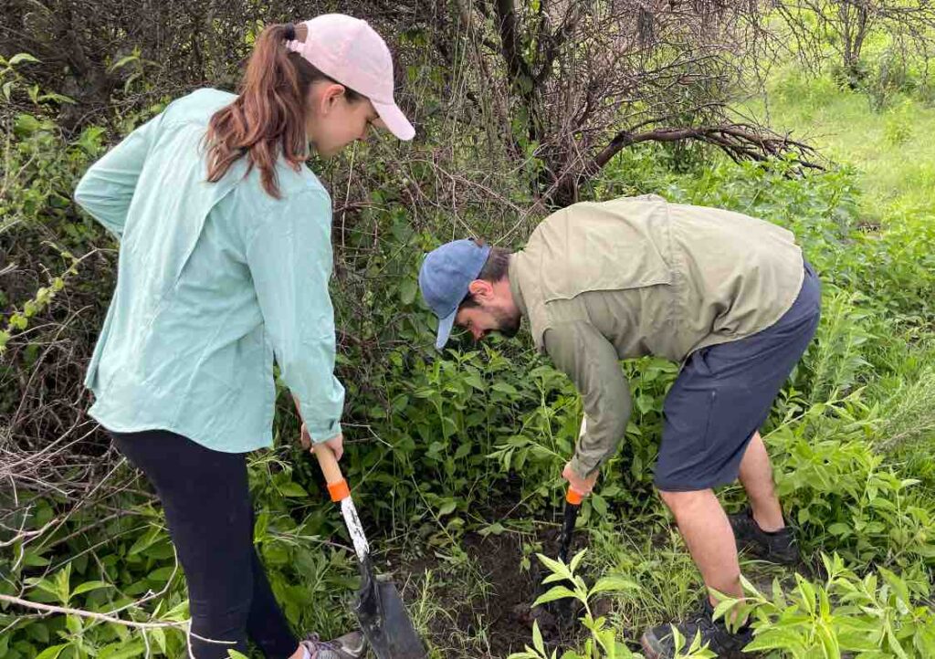 jornada de reforestación que organizó Beetmann