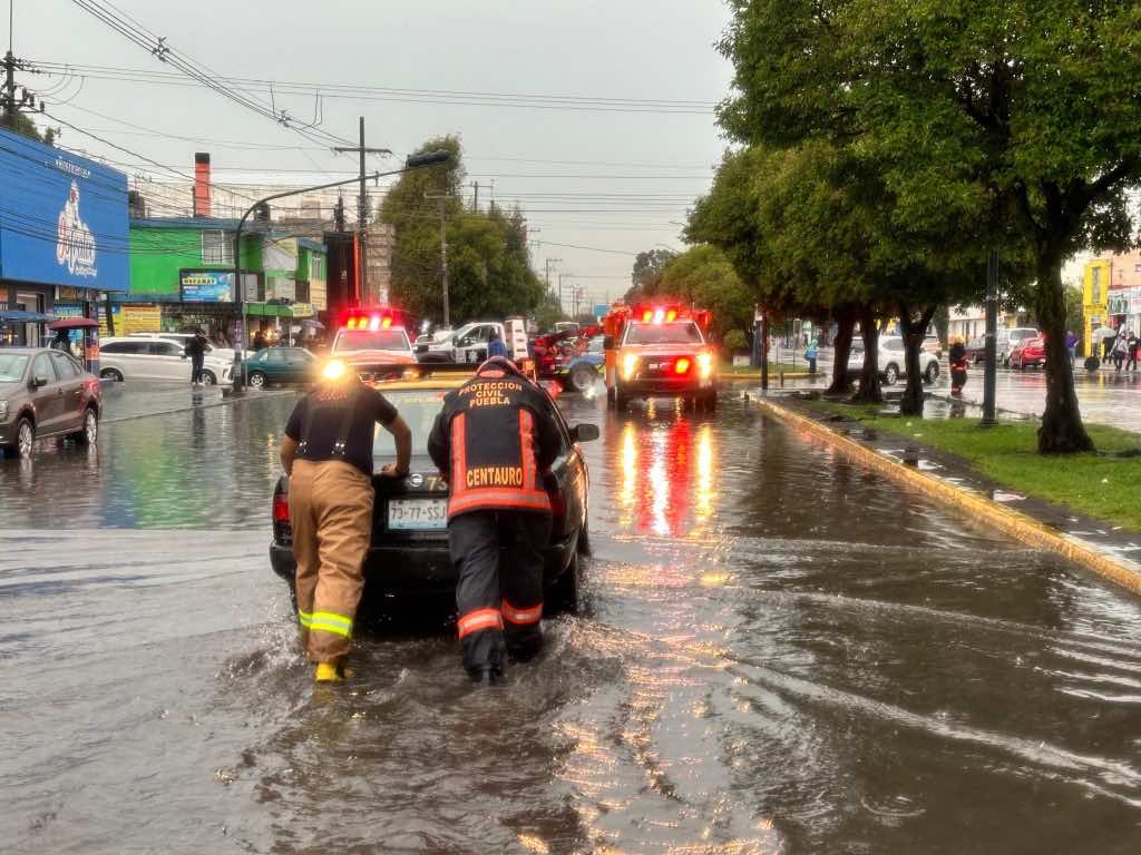Vehículos varados y árboles caídos: el saldo de la fuerte lluvia en la ciudad de Puebla