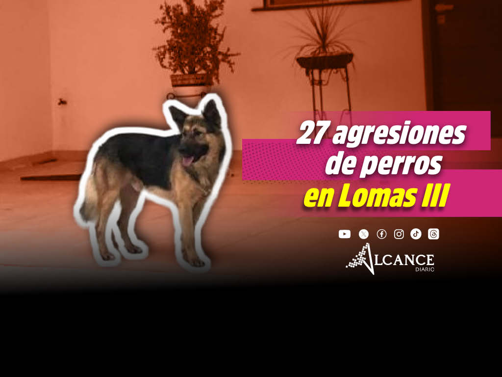 Se registran 27 agresiones por perros sin correa en Lomas III; una Frenc Poddle falleció