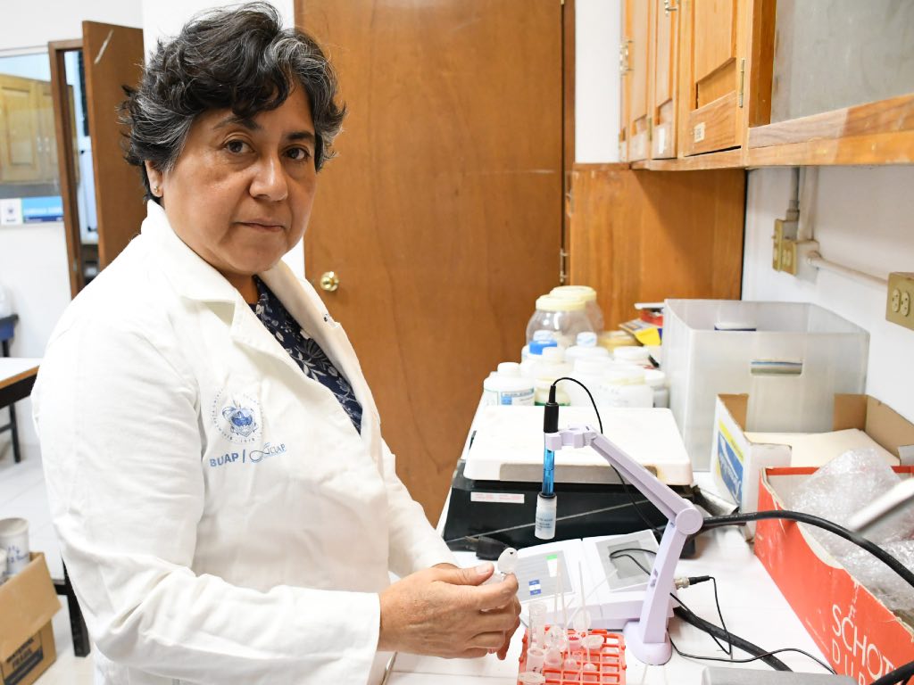 Académica de la BUAP propone usar arcillas para adsorber micotoxinas, hongo que afecta al maíz