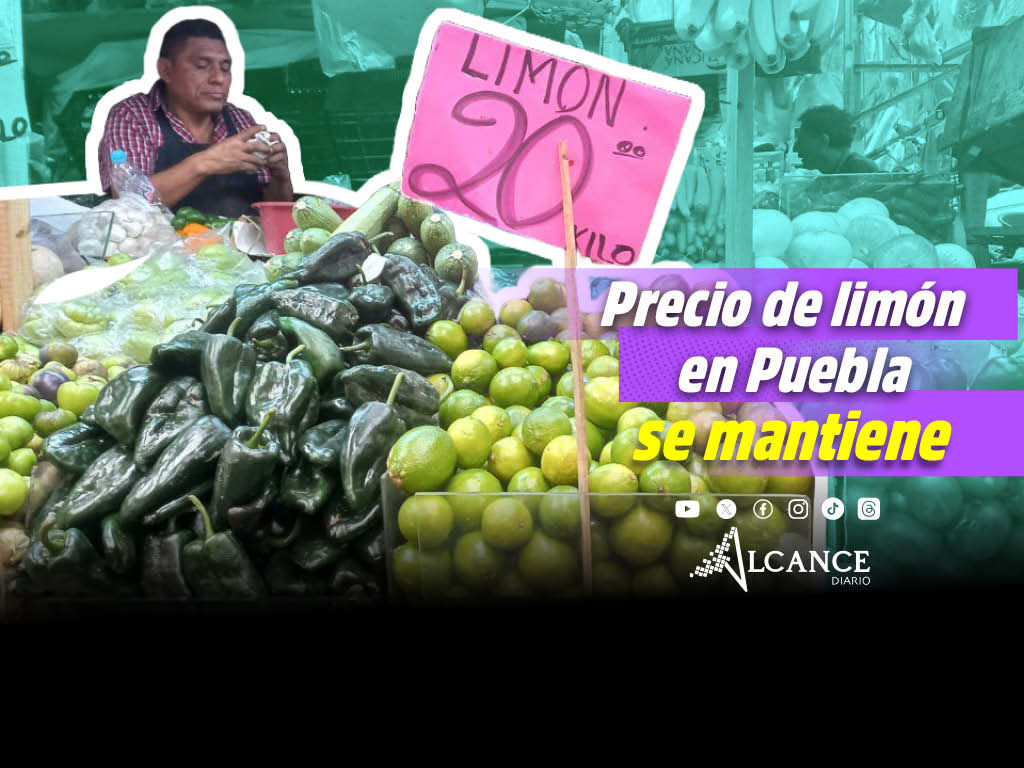 En Puebla se mantiene el precio del limón pese a la alza a nivel nacional