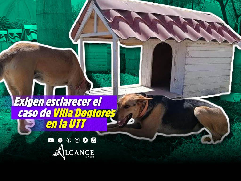 Desaparecen perritos de la Villa Dogtores en el Tec de Tehuacán; estudiantes exige esclarecimiento