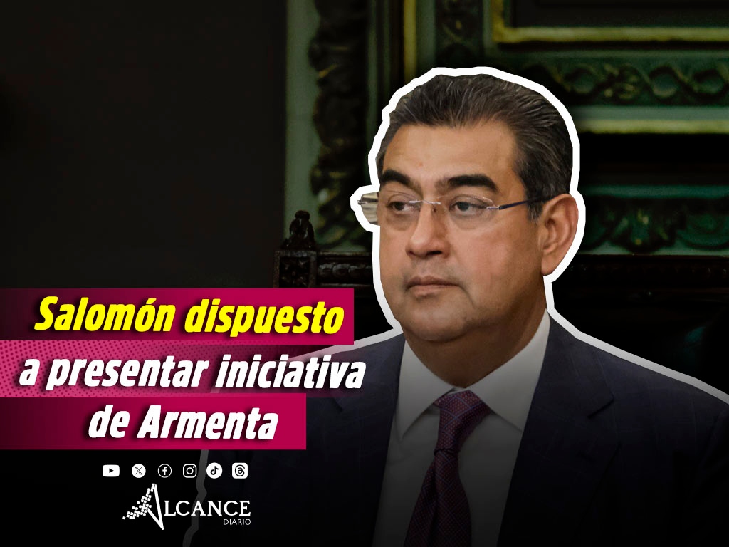 Gobernador Ley Orgánica