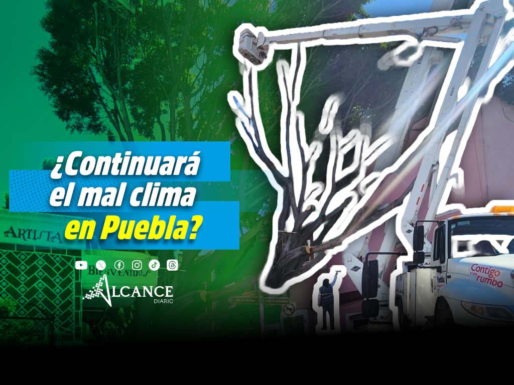 Fuertes ráfagas de viento deja árboles caídos y ventanales rotos en Puebla