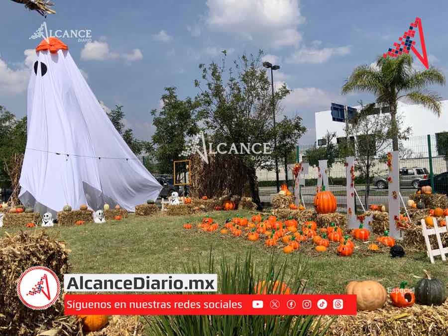 Esto es todo lo que debes saber de Pumpkin Zone 2024: precios, días y actividades
