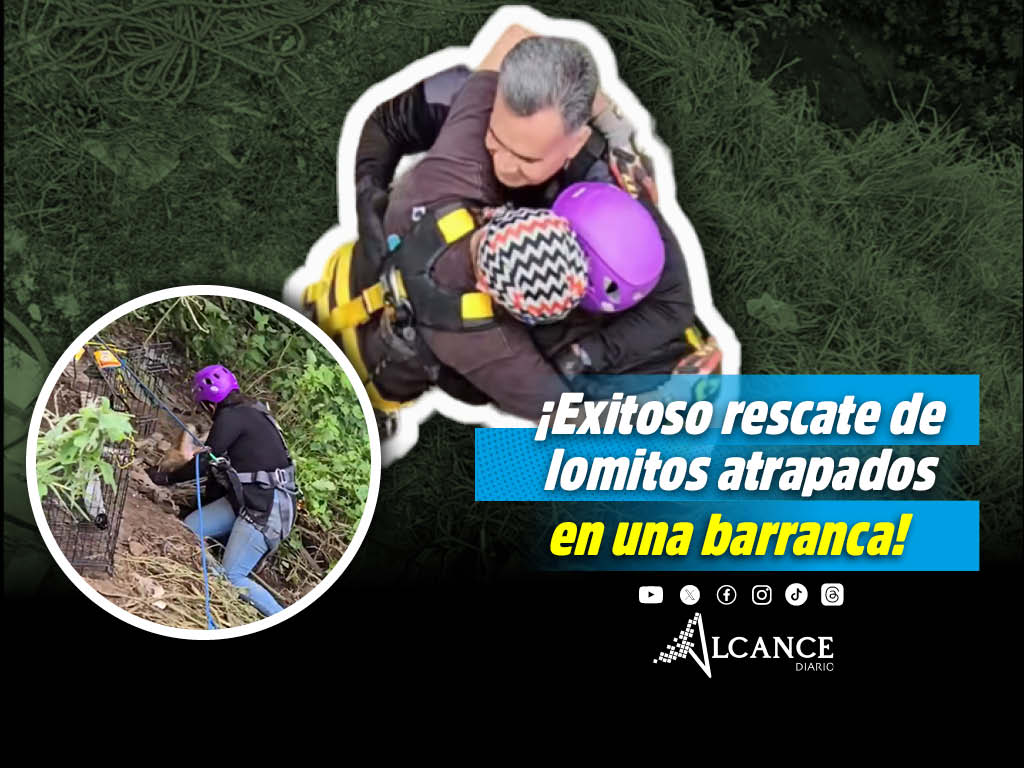 Clínica del Perro Callejero logra rescate de perritas atrapadas en barranca de San Antonio Abad