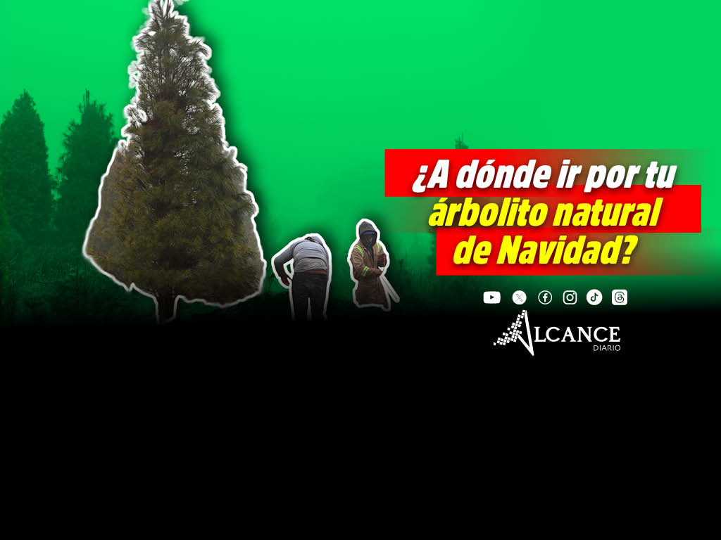 Estos son cinco lugares para comprar un Árbol de Navidad natural en Puebla