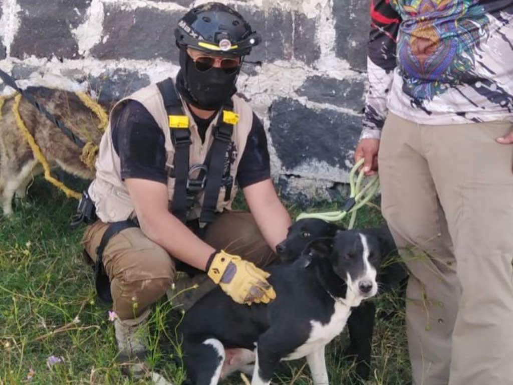 ¡Un éxito! Rescatan a tres perros que cayeron a un pozo de 15 metros en San Andrés Cholula