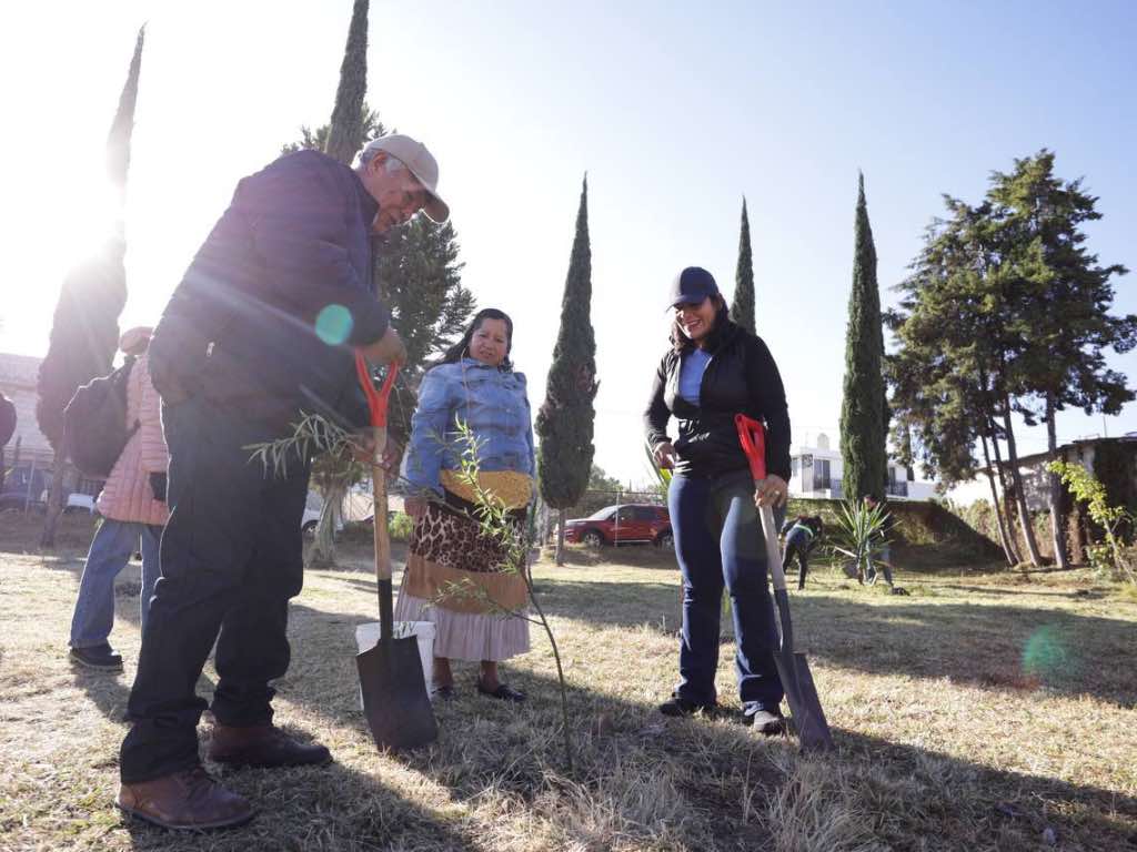 Lupita Cuautle encabeza jornada de reforestación en El Molinito