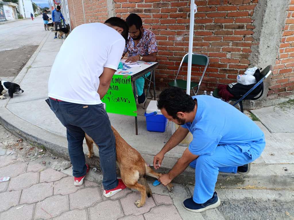 Más de mil consultas con programa gratuito en Chachapa