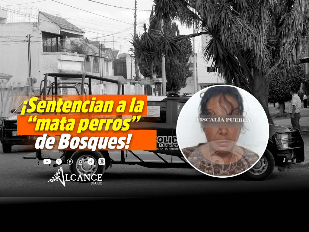 Encarcelan a la "mata perros" de Bosques de San Sebastián