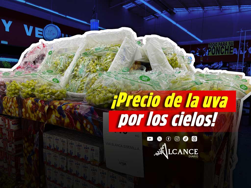 Precio de uva navideña en Puebla supera los 200 pesos por kilo