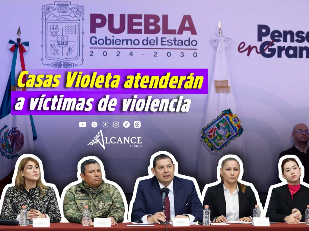 Casas Violeta violencia