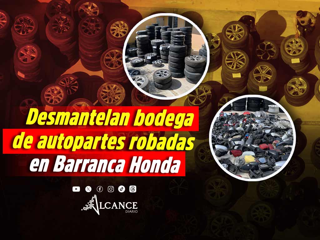 Recuperan casi 300 llantas con rin de alta gama y 173 autopartes tras cateo en Barranca Honda
