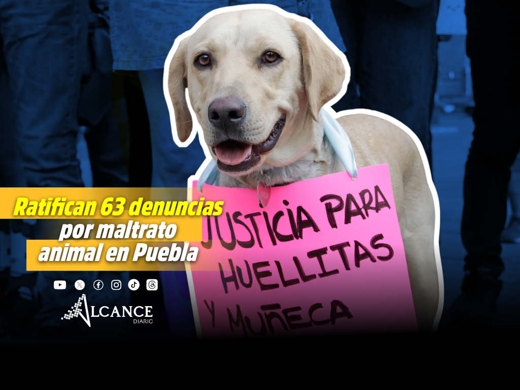 De 300 denuncias por crueldad animal en Puebla, se han ratificado 63 ante FGE