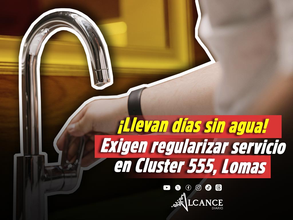 Cluster 555 Lomas