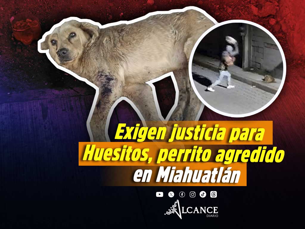 ¡Qué cruel! Hombre casi mata a “Huesitos” a pedradas en Miahuatlán