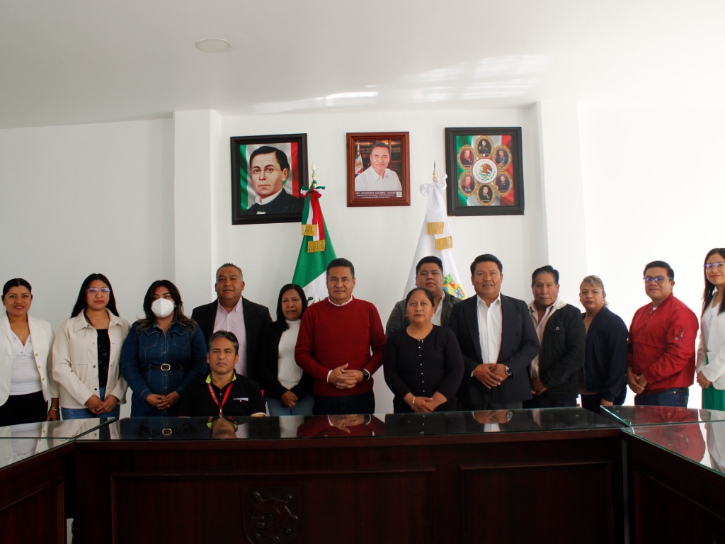 presidentes auxiliares