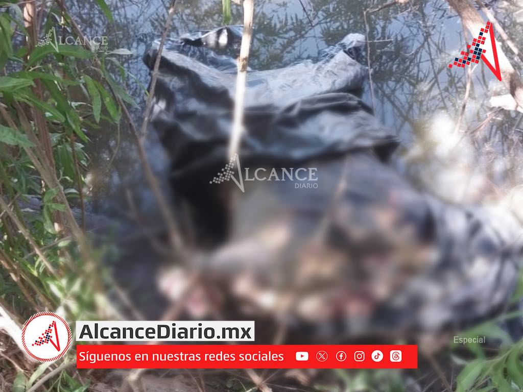 ¡Macabro hallazgo! Encuentran restos humanos en bolsas de basura en Yehualtepec