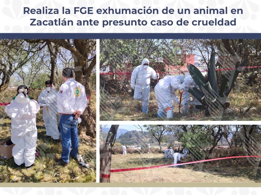 Lanuda Zacatlán maltrato