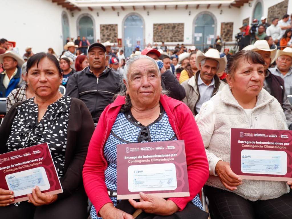 Reciben en Chignahuapan apoyos tras daños en cultivos por el frente frio No. 37
