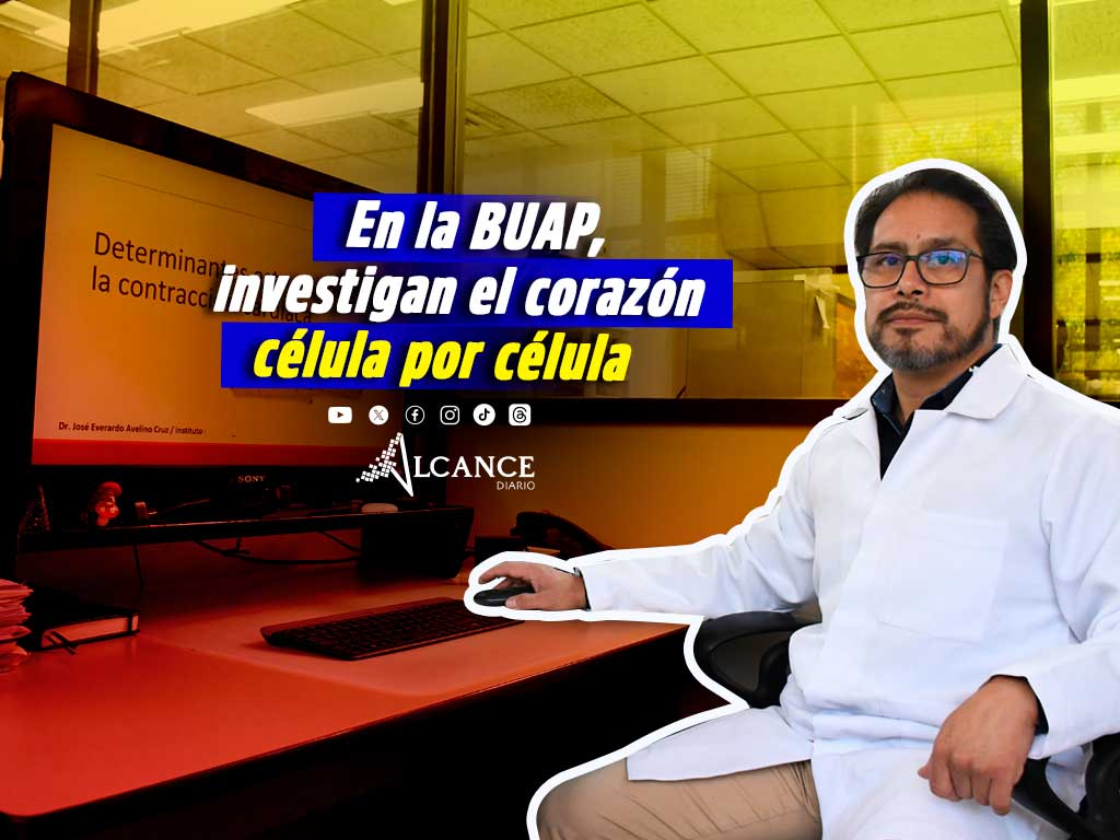 BUAP células cardiacas