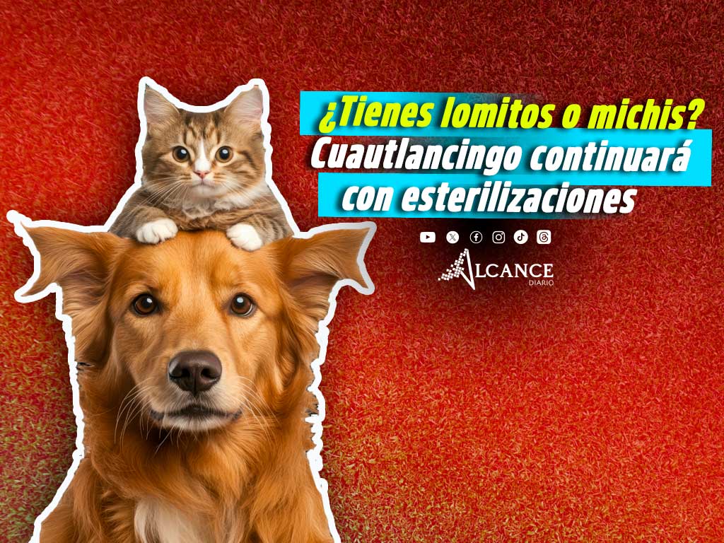 Cuautlancingo jornadas esterilización