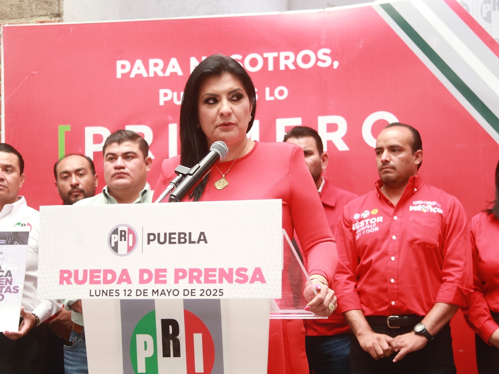 Delfina Pozos iniciativas PRI