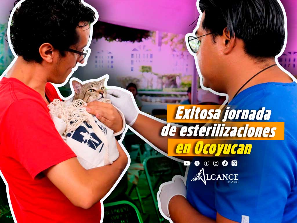 La esterilización es un acto de amor realizan jornada en Ocoyucan en favor de las mascotas