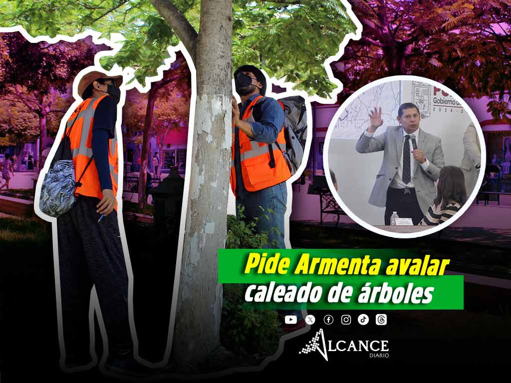 Armenta propone modificaciones a Ley de Arbolado de Puebla para retirar el caleado