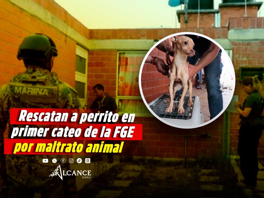Rescatan en cateo a perrito en estado de abandono en Texmelucan