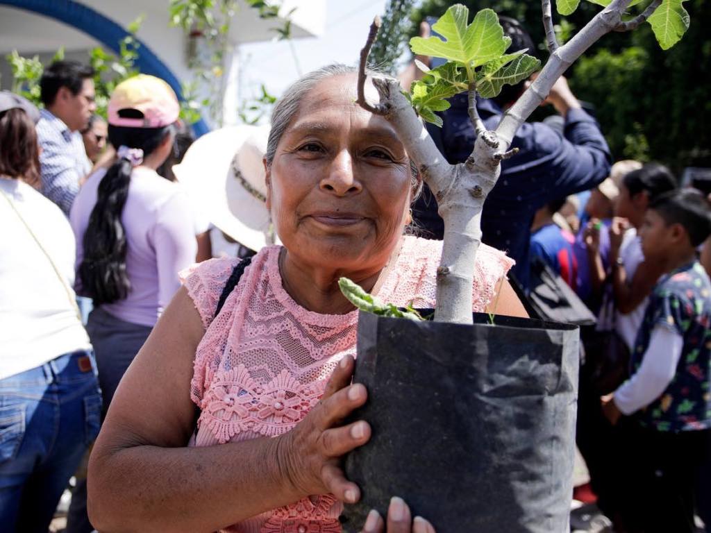 Invitan a comunidad de San Antonio Cacalotepec a adoptar un árbol