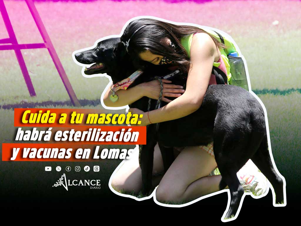 jornada de esterilización de mascotas en Lomas