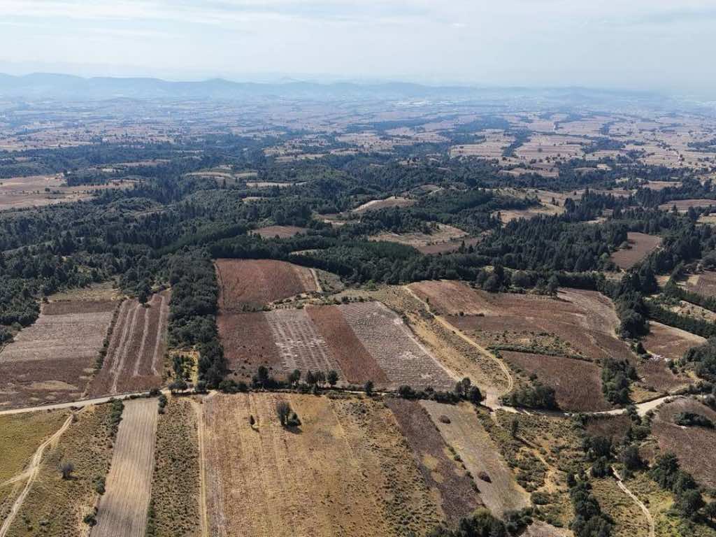 Aún continúa elaboración el proyecto ejecutivo del Ecoparque la Malintzi