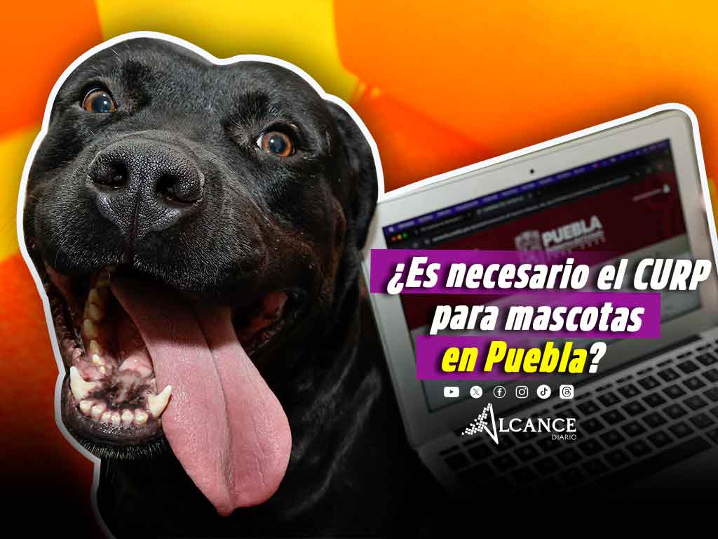 CURP para mascotas Puebla