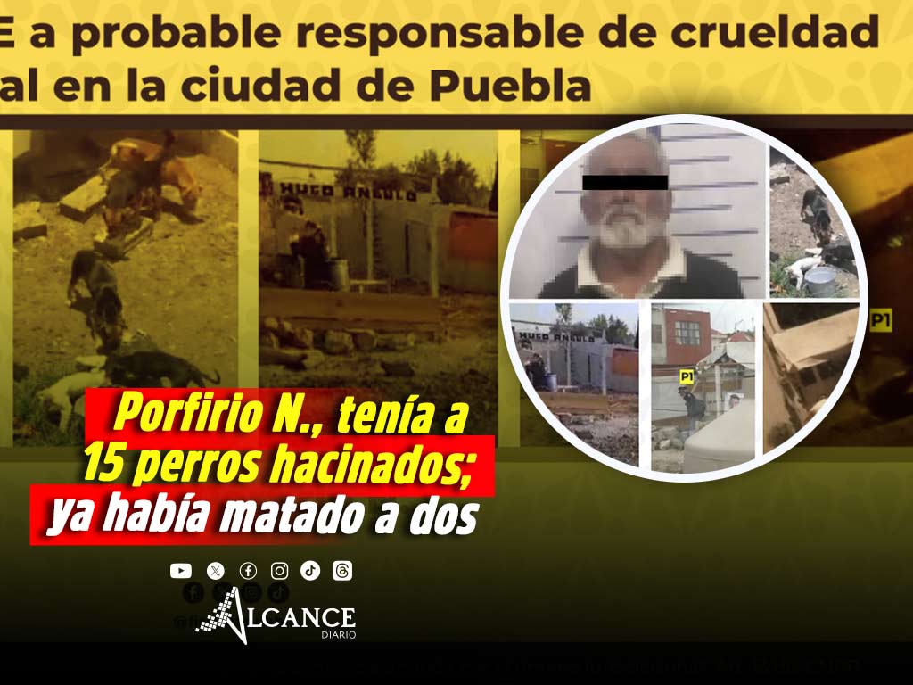 Detienen a Porfirio N., por crueldad animal en Puebla; tenía a 15 perritos en condiciones lamentables