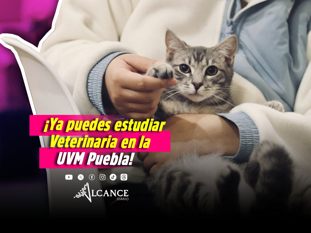 Lanza la UVM Campus Puebla su licenciatura de Medicina Veterinaria y Zootecnia