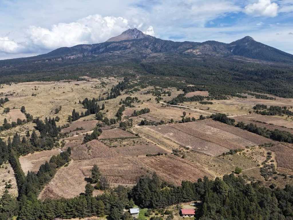 Aún continúa elaboración el proyecto ejecutivo del Ecoparque la Malintzi