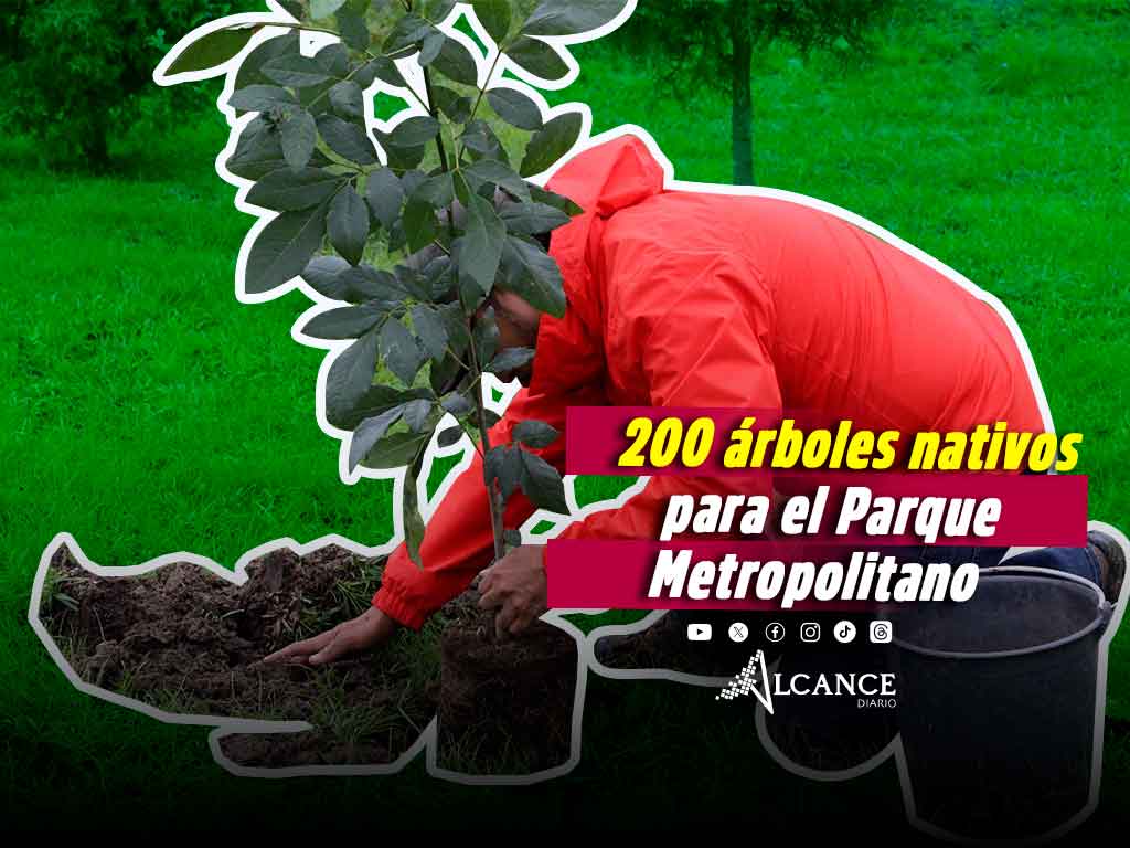 Reforestan el Parque Metropolitano con 200 árboles nativos