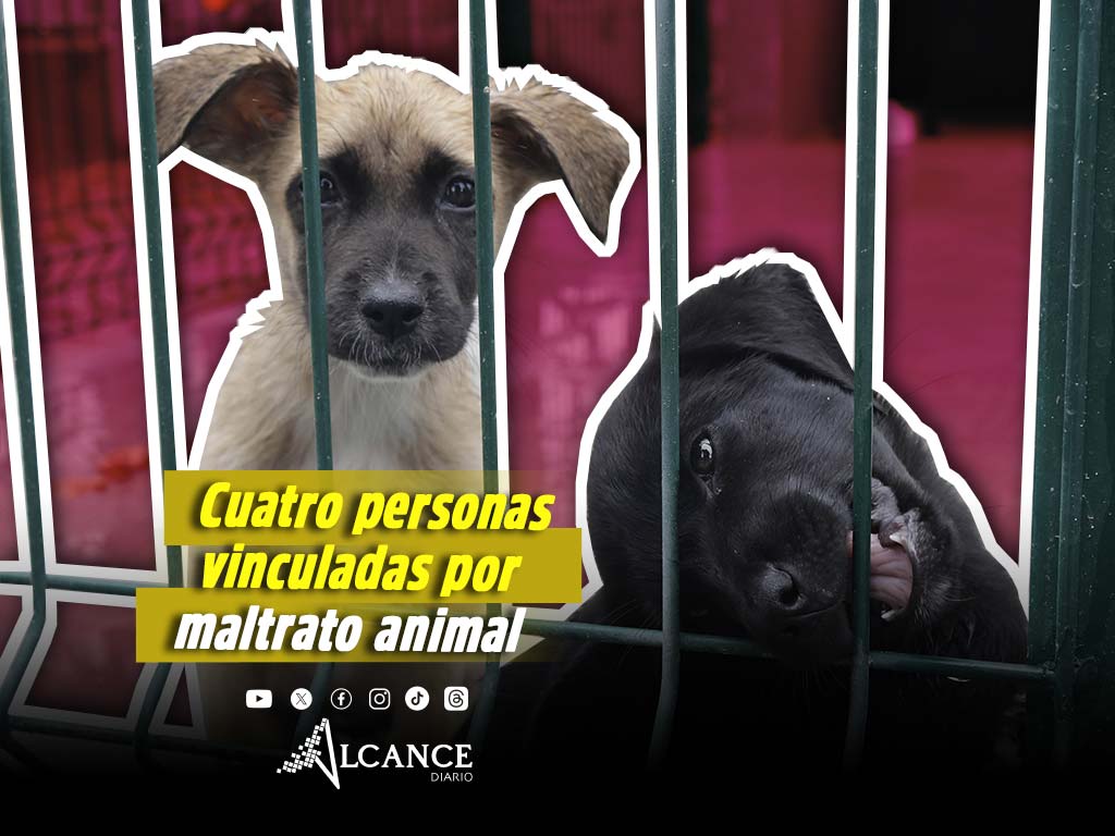 Cuatro personas han sido vinculadas por maltrato animal en Puebla durante 2025 