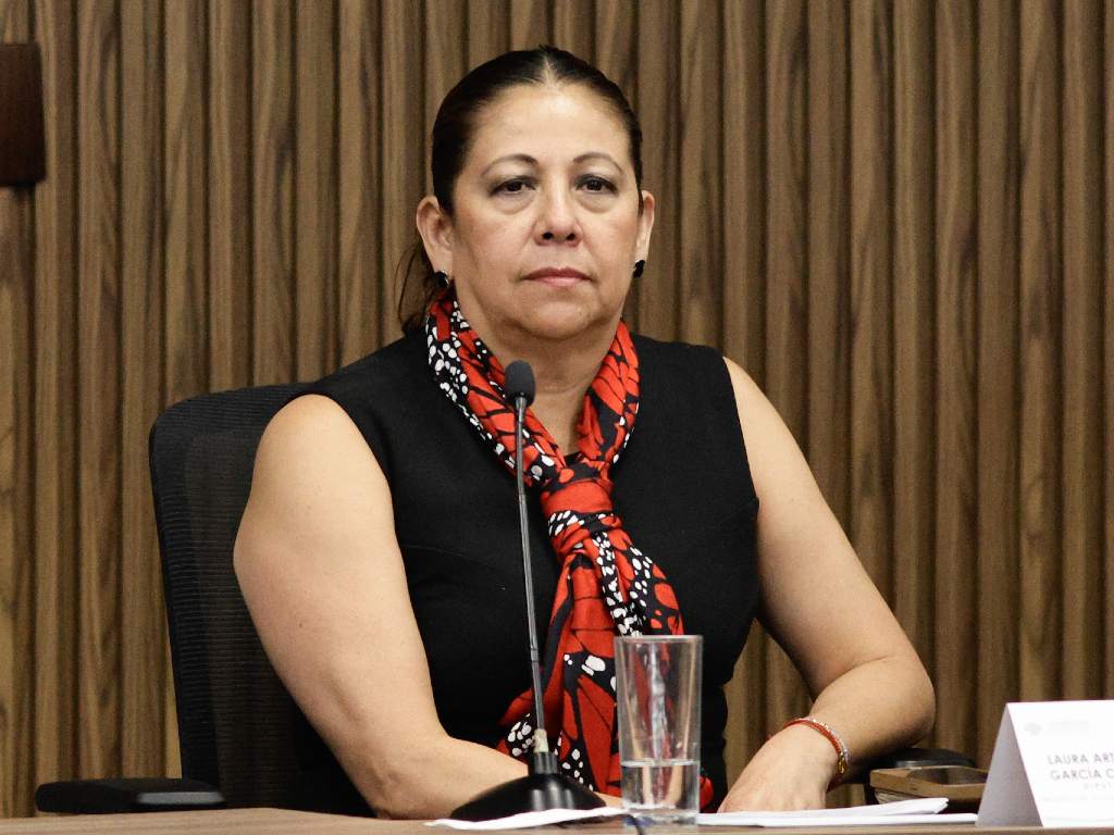 Acción de inconstitucionalidad del PAN vs Ciberasedio, un tema mediático: Laura Artemisa