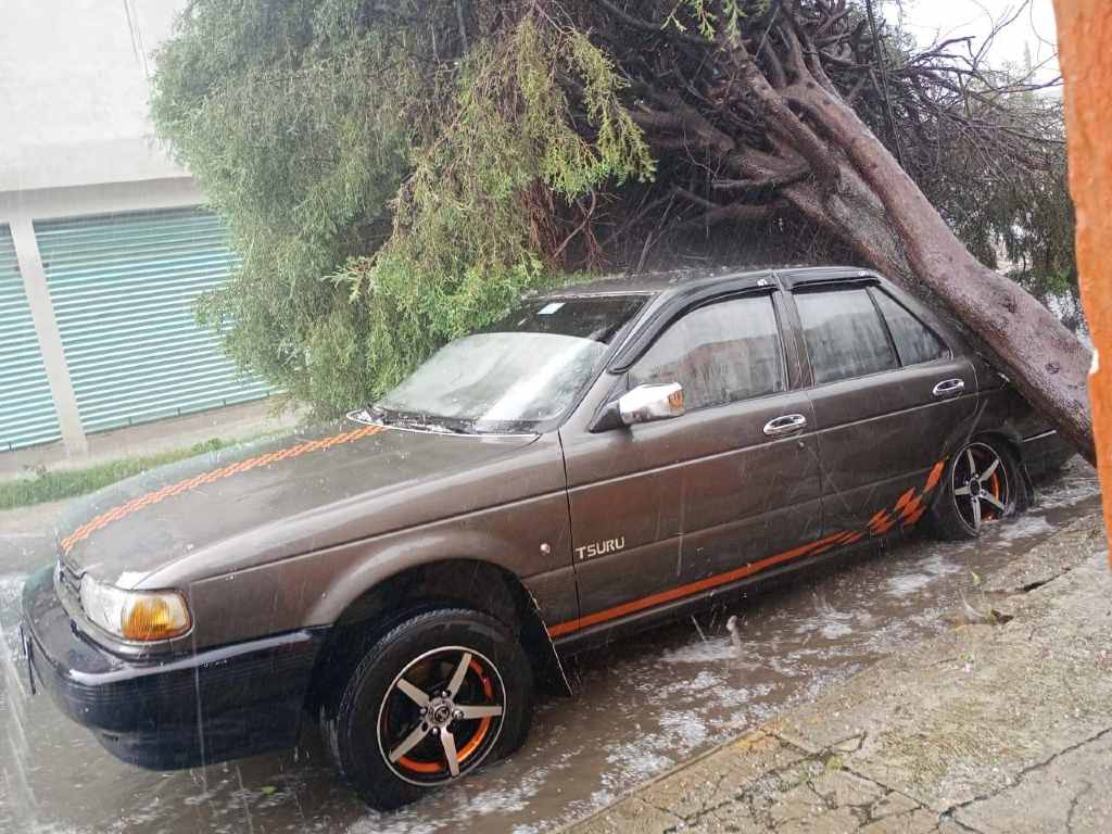 Gobierno de la Ciudad activó protocolos de atención por lluvias en distintos puntos del municipio