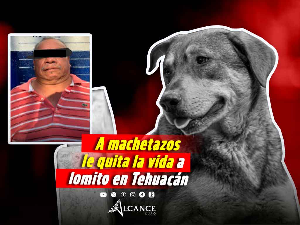 Jorge Oliverio N mató al perrito Capitán con un palo y su machete en Tehuacán