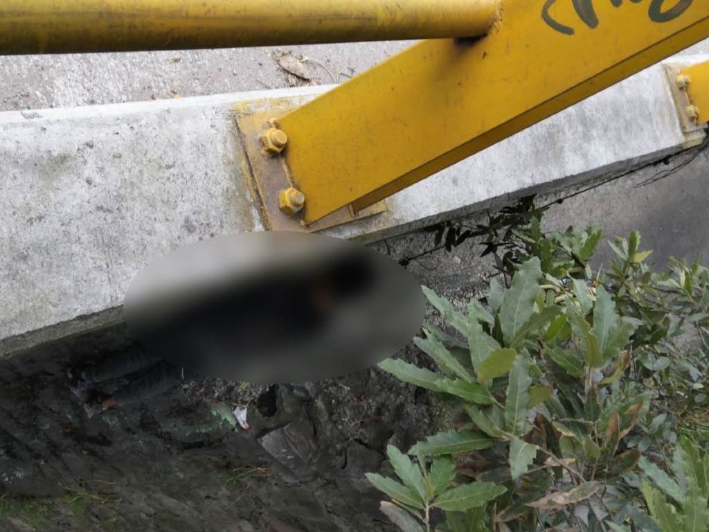Un hombre se quita la vida en Bosques de Manzanilla