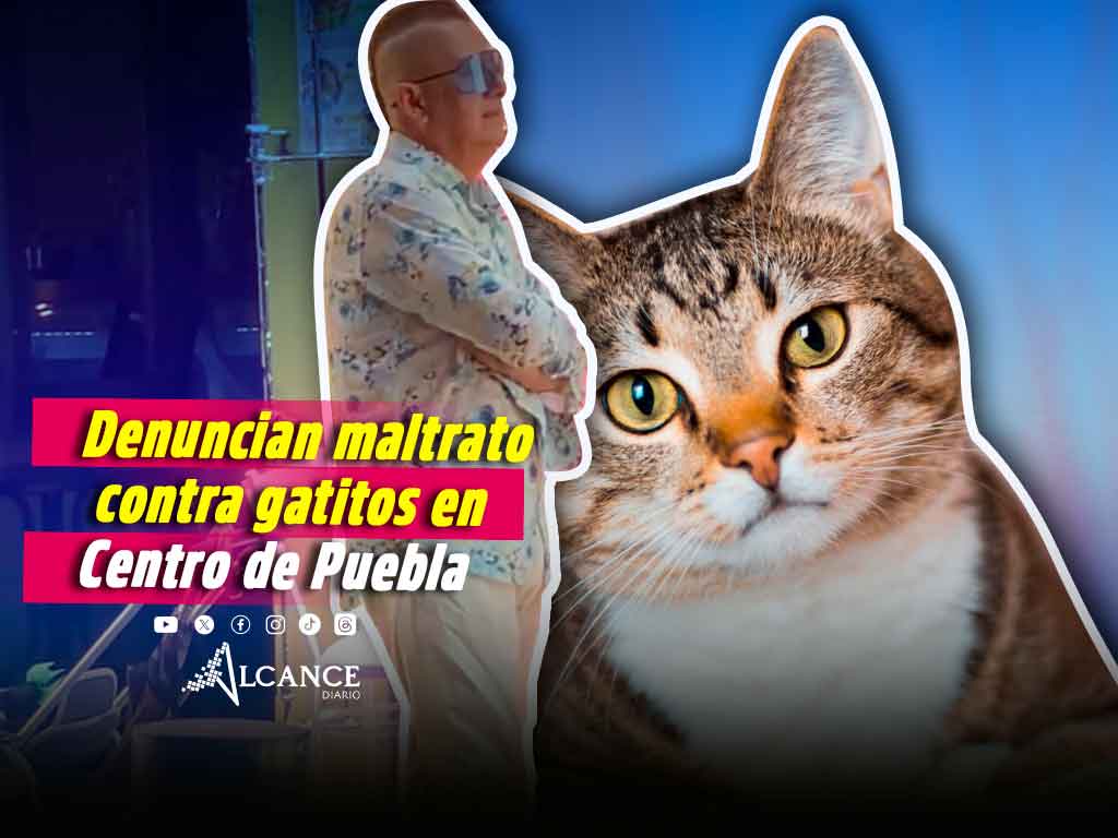 Denuncian a sujeto que maltrata y vende gatos en el Centro Histórico de Puebla