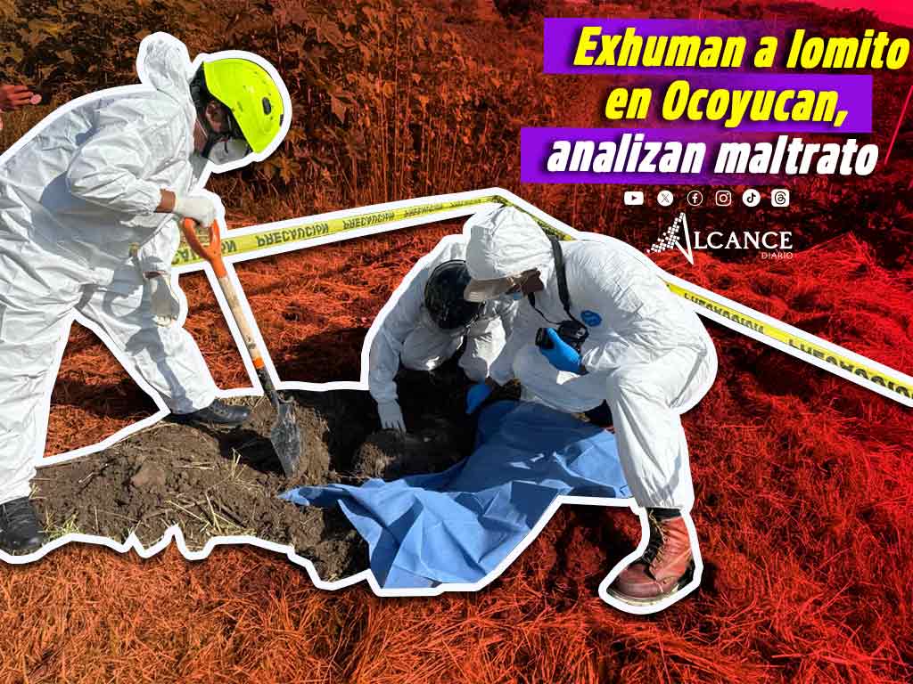Exhuman a perrito en busca de identificar si murió por maltrato en Ocoyucan